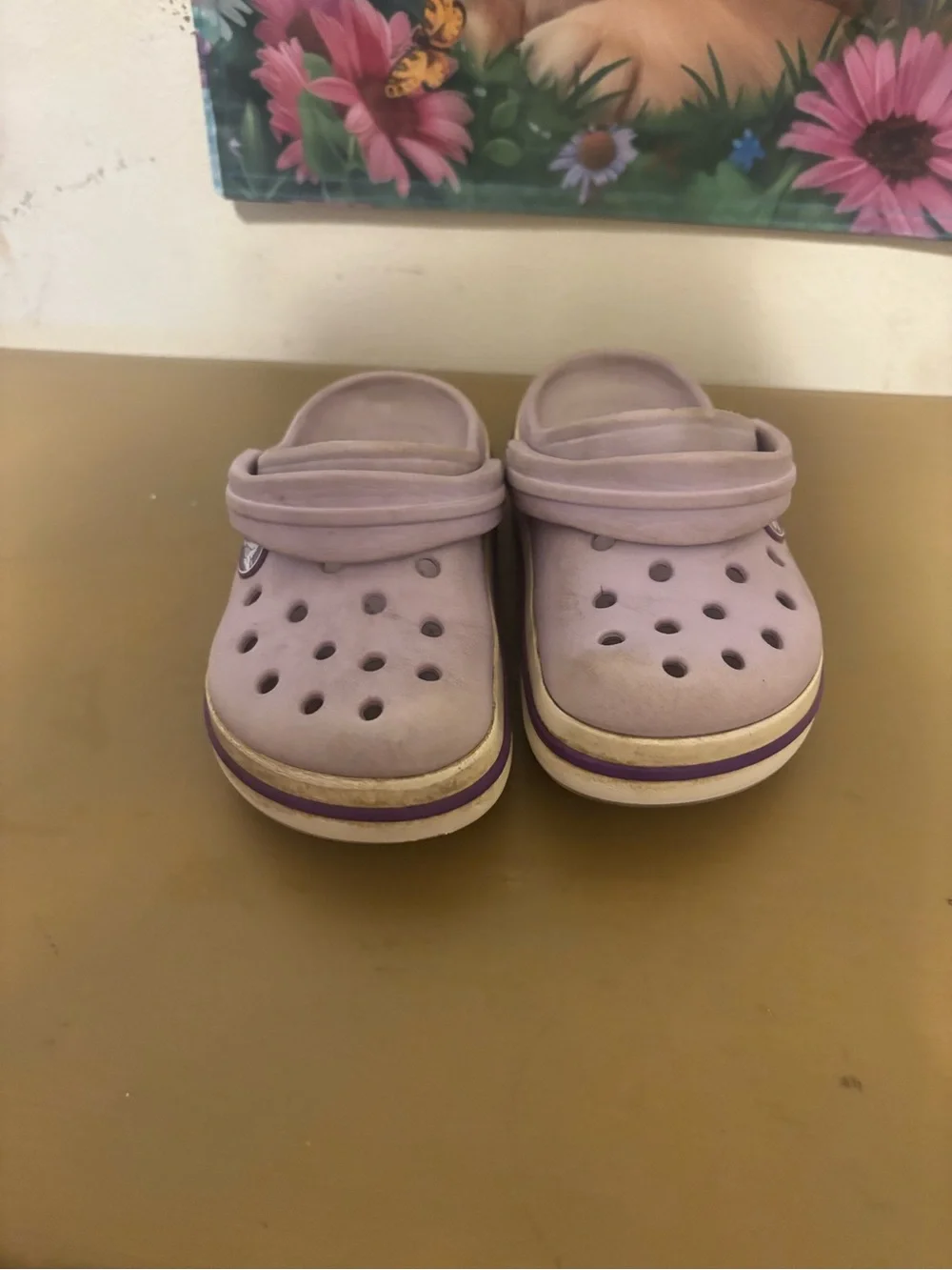 CROCS Kids Lavender Slip-On Clogs with Purple Trim - Picture 1 of 10